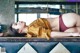 A woman laying on top of a counter in a bathroom.